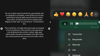 Testimonios y pruebas contra el hermano de Vania Bludau: Influencer lo acusa de maltrato.
