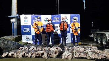 Armada Nacional incautó 900 kilogramos