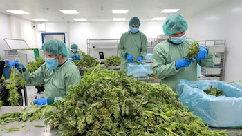 Esta fue la medida que