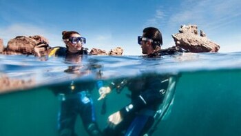 4 islas perfectas para bucear