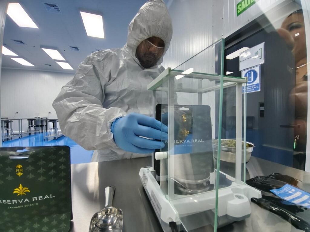 El laboratorio fabricará concentrados, aceites, jarabes y pastillas a base de cannabis sativa para consumo local y exportación. (Foto: El Observador)