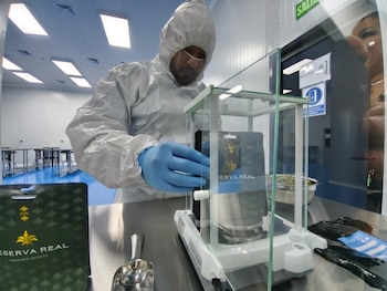 El laboratorio fabricará concentrados, aceites, jarabes y pastillas a base de cannabis sativa para consumo local y exportación. (Foto: El Observador)