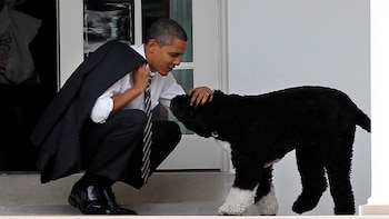 Barack Obama y Bo, en