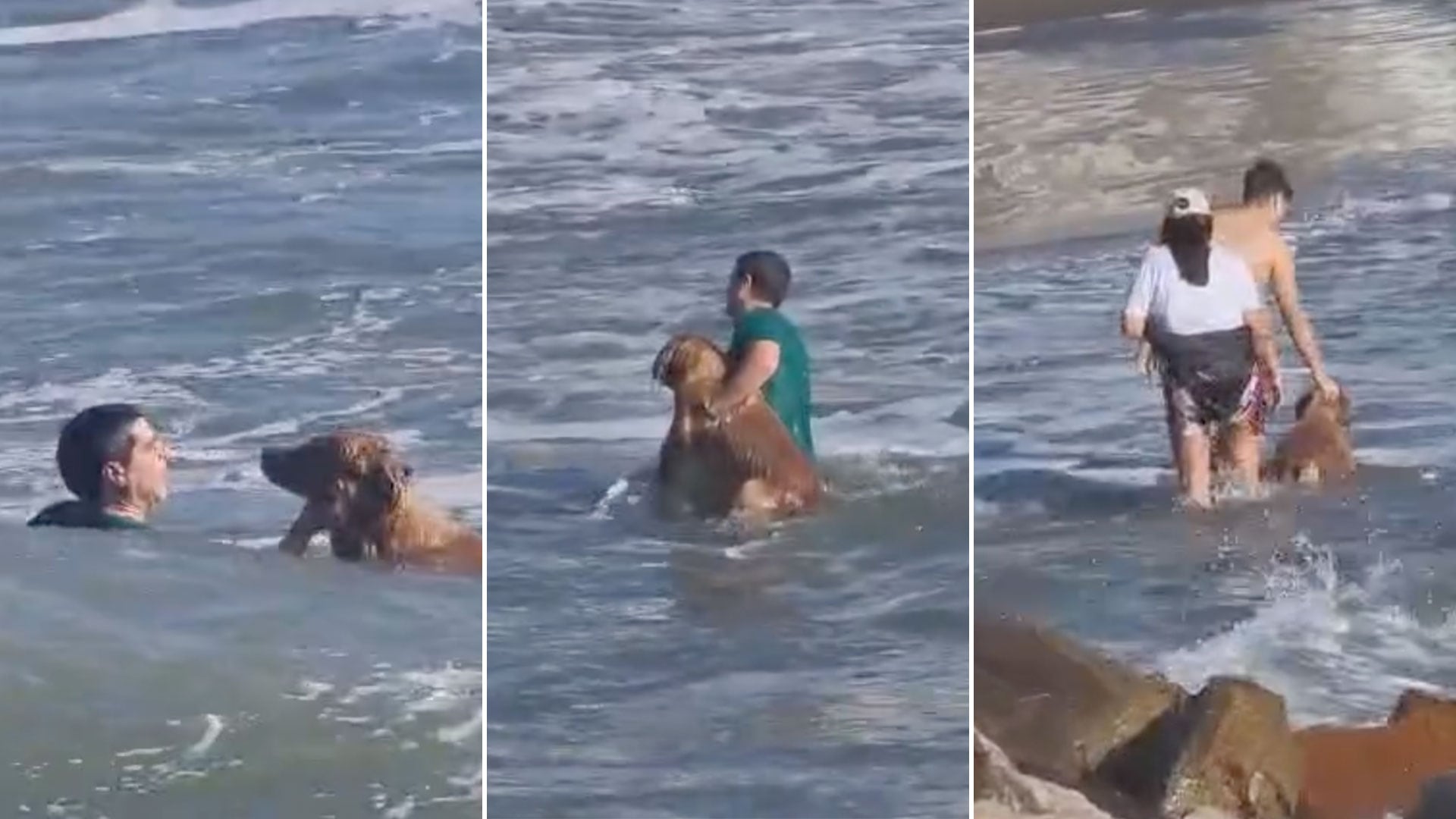 Un vecino ingresó al mar para alcanzar al perro arrastrado por la corriente, el hecho ocurrió antes del inicio del servicio de guardavidas