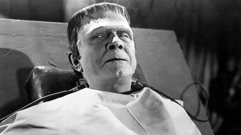 Además del libro original, "Frankenstein"