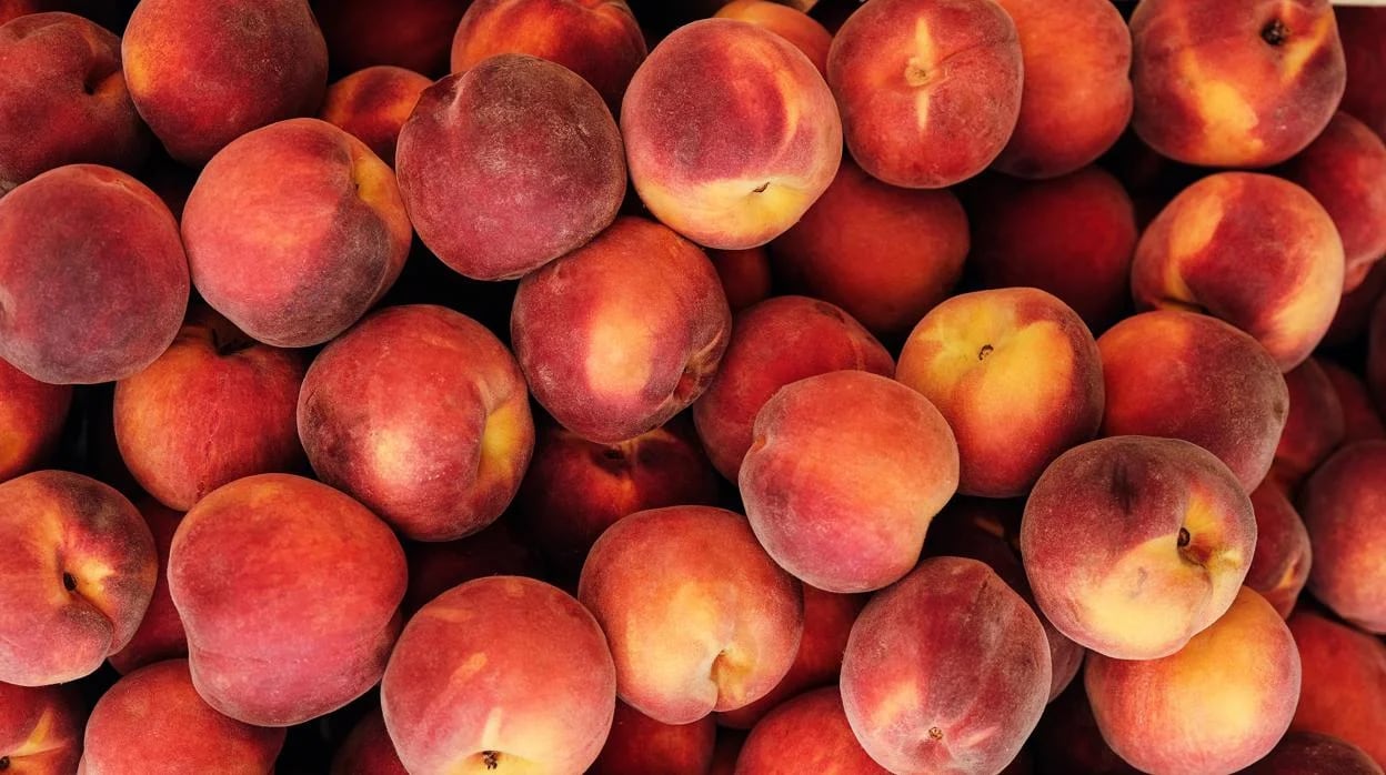 En el melocotón se detectó Chlorpyrifos, un plaguicida que no está autorizado para su uso en el Perú. Foto: Adobe Stock