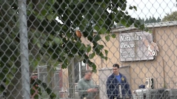 Cerca de alambre en primer plano con follaje verde. Detrás, un edificio beige con un cartel de "Miranda's Rescue" y dos hombres caminando