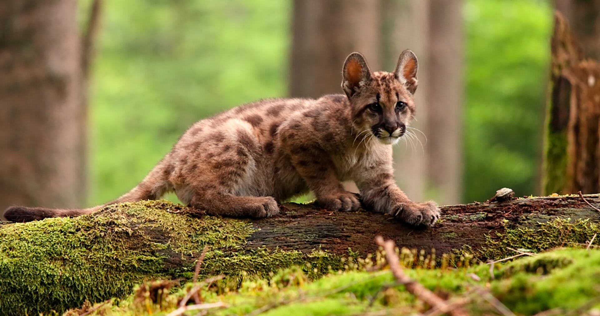 Imagen ilustrativa (Poder Judicial de Córdoba)