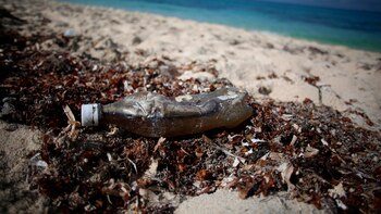 Una ciudad sin plástico