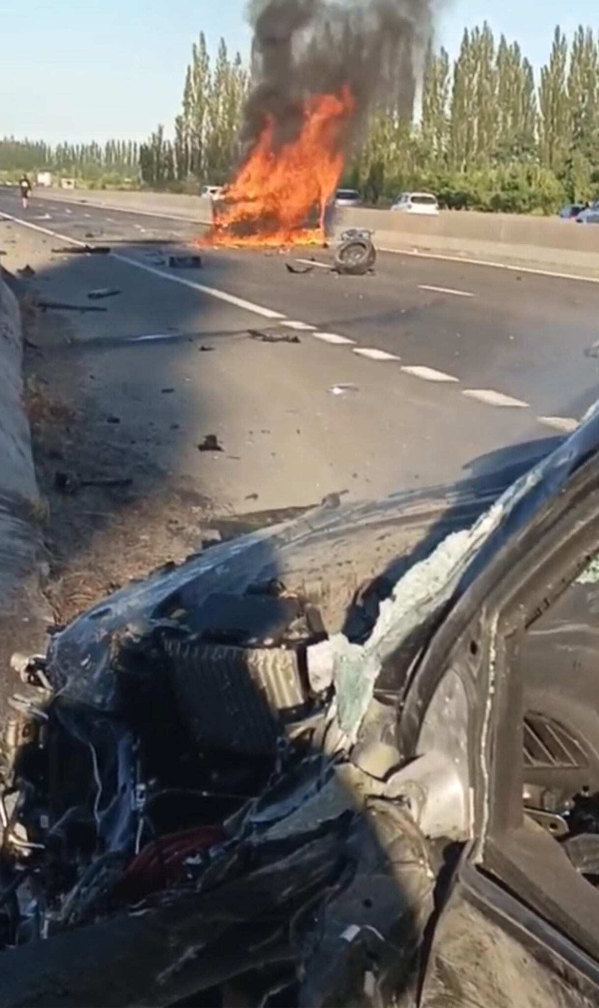El auto familiar se incineró completamente tras el choque