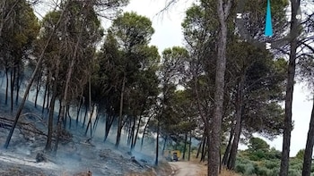 Controlado el incendio forestal en Rute, que mantiene una autobomba y un retén