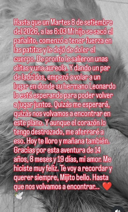 El actor dedicó una extensa despedida a Bronco, a quien consideraba como un hijo.
