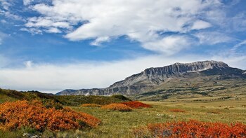 El Parque Nacional Glaciar destaca