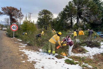 Personas con uniformes y ropa civil despejando arbustos en la vera de un camino de tierra. Nieve en el suelo, cartel de velocidad 40 y árboles