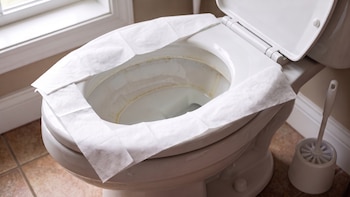 Por qué cubrir el asiento del baño con papel higiénico es peor de lo que crees, según los microbiólogos