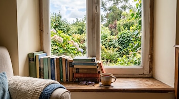 Colección de libros, anteojos y una taza en el alféizar de madera de una ventana frente a la vegetación exterior.