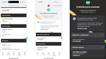 Carlos Fernando Cuevas mostró evidencias de los pagos realizados a la esposa de Rodolfo Hernández - crédito Suministrado a Infobae Colombia