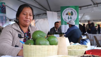 El sector aguacatero apuesta por acuerdos estratégicos durante el próximo congreso nacional en Guatemala