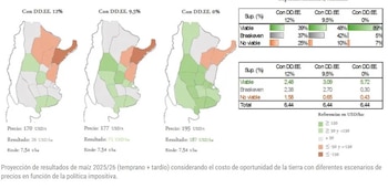 Proyección resultados maíz (CREA)