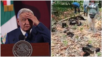 Andrés Manuel López Obrador dice