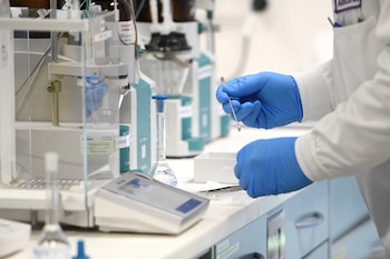 Seis laboratorios tienen expectativa de