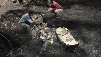 Toman muestra de los restos