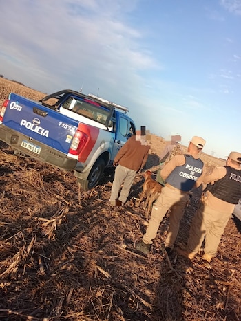 En la zona rural de Monte Maíz, los agentes detuvieron a un hombre de 36 años y le secuestraron cinco perros y una pieza de liebre europea