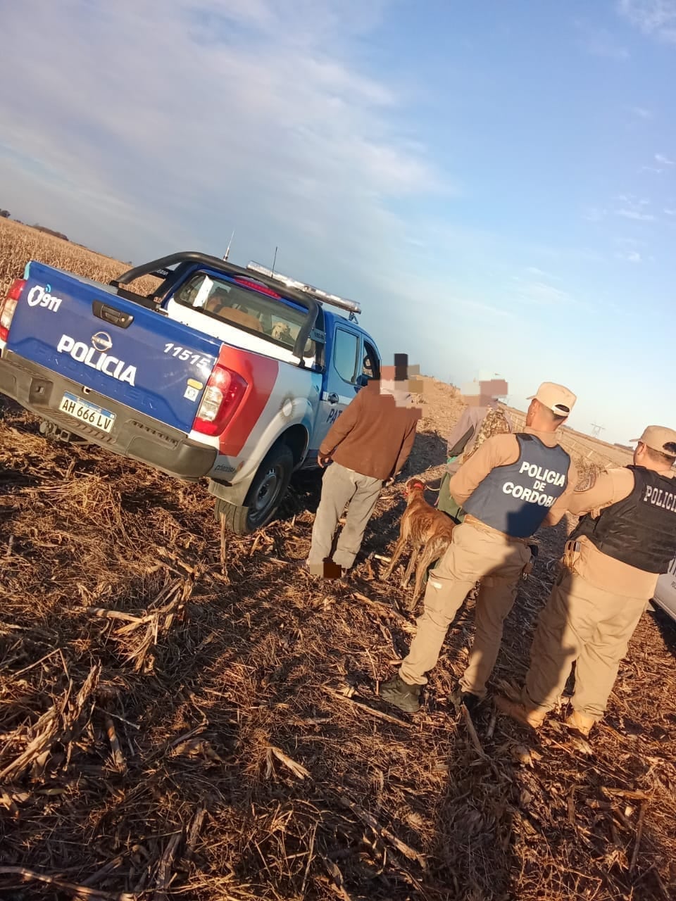 En la zona rural de Monte Maíz, los agentes detuvieron a un hombre de 36 años y le secuestraron cinco perros y una pieza de liebre europea