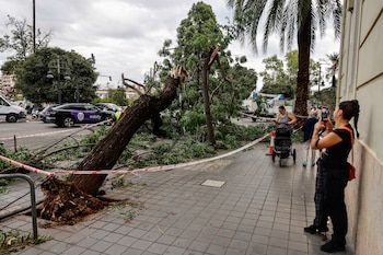 Un árbol caído en la calle de Valencia debido a las fuertes lluvias de la pasada noche. (Rober Solsona/Europa Press)