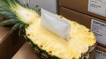 Piña partida a la mitad con una lámina blanca insertada en la pulpa amarilla. Fondo desenfocado con cajas de cartón apiladas y etiquetas de exportación.