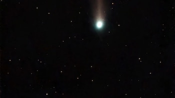 Un visitante de la nube de Oort: un raro cometa aparece en los cielos del hemisferio sur