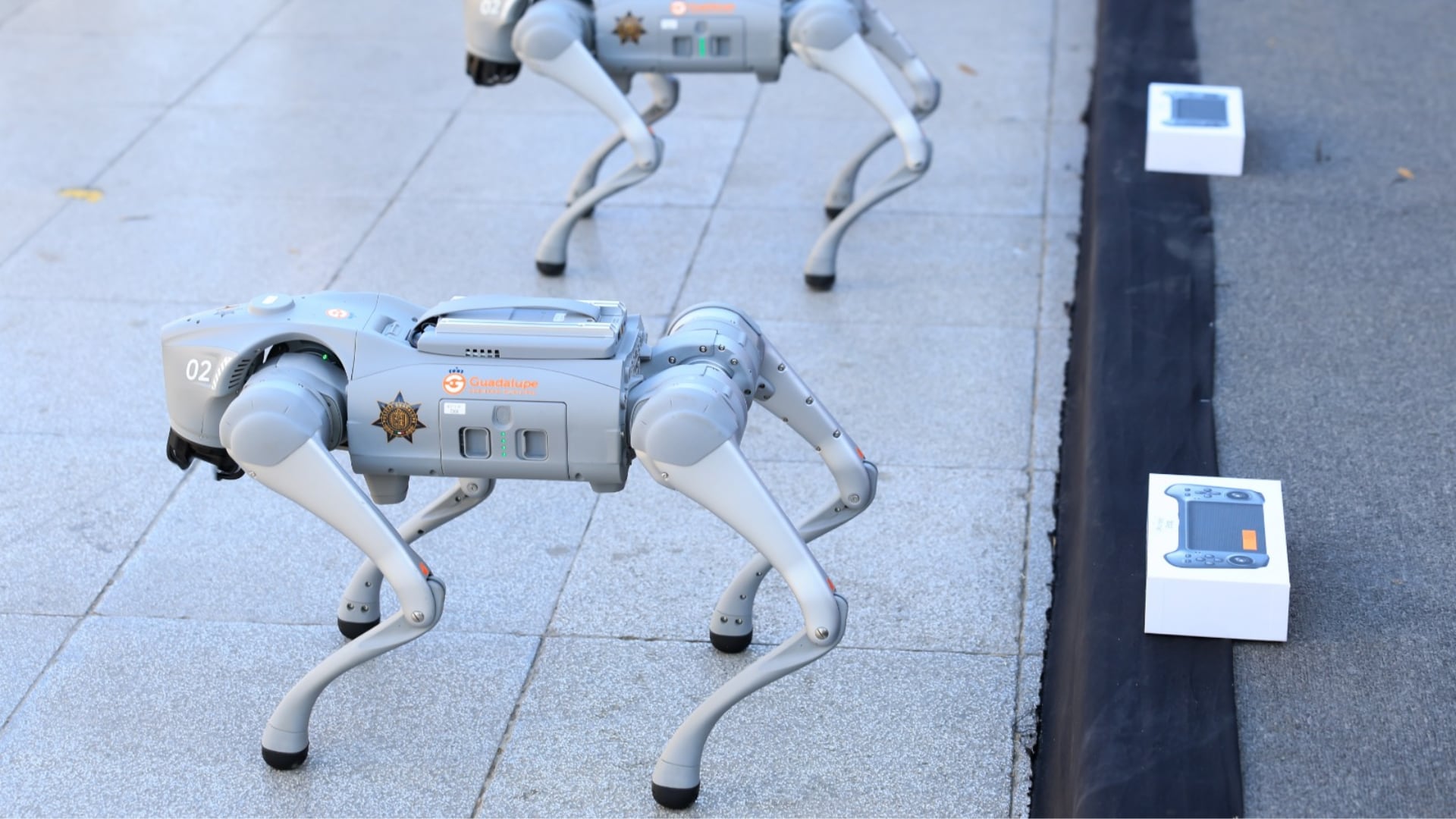 La división K9-X estará integrada por cuatro perros robot que patrullarán zonas clave durante el Mundial de la FIFA 2026. (Municipalidad de Guadalupe)