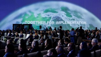 Durante la COP 27 de