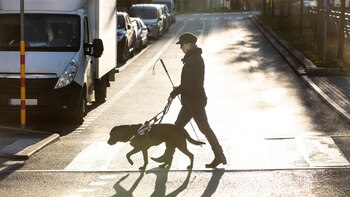 Los Perros Guía son por