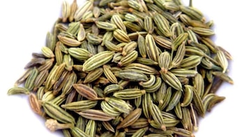 Cuáles son las propiedades curativas