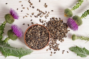 Esta semilla posee componentes que