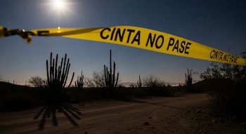 Cinta amarilla "CINTA NO PASE" cruzando la imagen. Un camino de tierra y cactus en silueta bajo un cielo nocturno estrellado con un brillo luminoso.