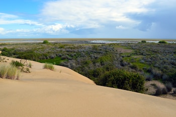 marismas con naturaleza