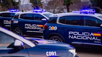 Detenido en Marbella el cabecilla