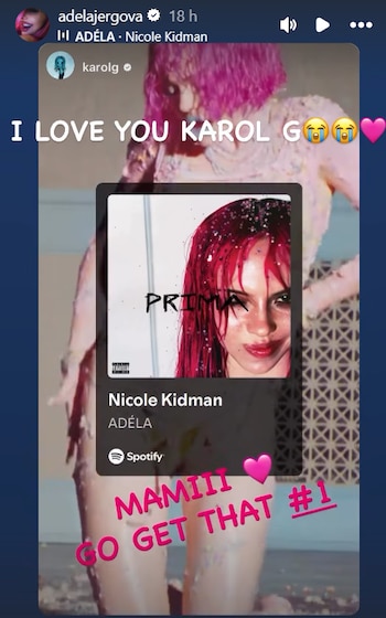Adéla respondió a Karol G en Instagram con un mensaje de agradecimiento - crédito @adelajergova/ Instagram