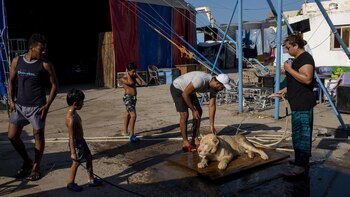 Luba el-Helw tiene una conexión