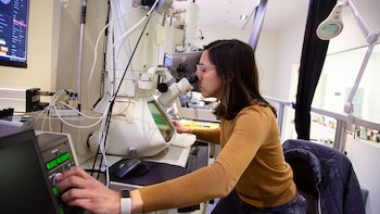 Los hallazgos revelan nuevos tipos