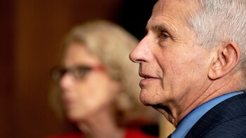 Sobre el origen del COVID-19