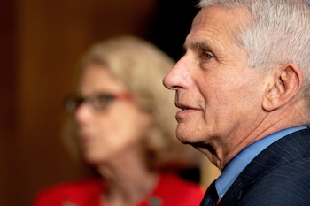 Anthony Fauci, director del Instituto