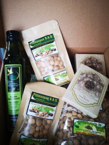 Con el fruto Sacha Inchi