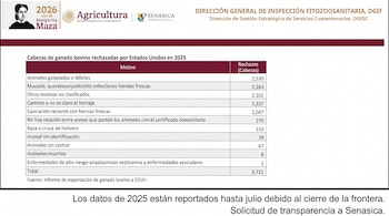 Tabla de datos sobre cabezas de ganado bovino rechazadas por Estados Unidos en 2025, con motivos y números. Logotipos del gobierno de México, Agricultura y SENASICA.