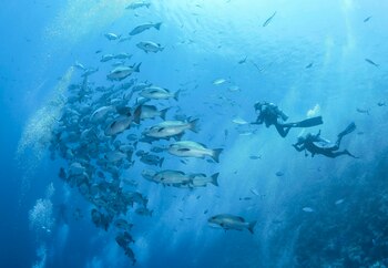 Mix Aficiones ofrece viajes para