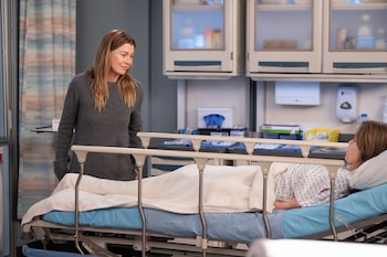 La temporada 22 de Grey’s