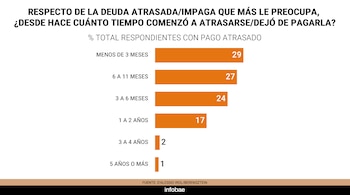 Gráfico de barras horizontales sobre el tiempo de morosidad en deudas, con valores entre el 1 % y el 29 %, publicado por Infobae