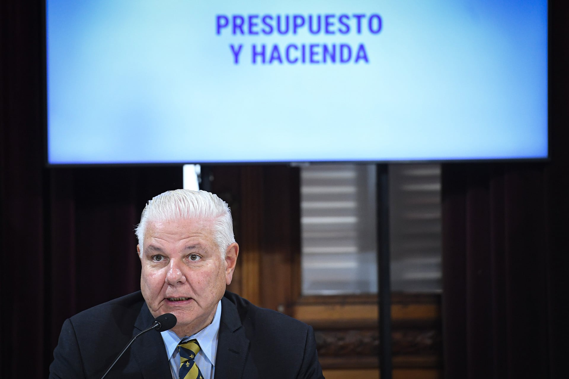 El legislador libertario y presidente de la comisión de Presupuesto y Hacienda de la Cámara alta, Agustín Monteverde (Prensa Senado)